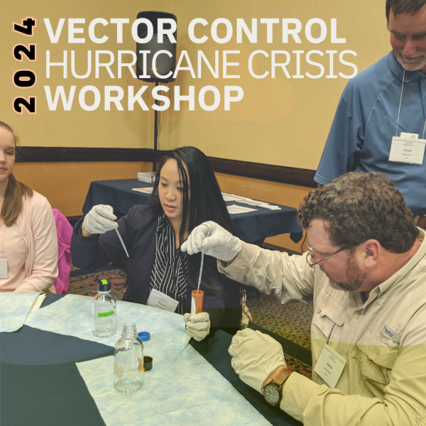 2024 Vector Workshop SM photo 1